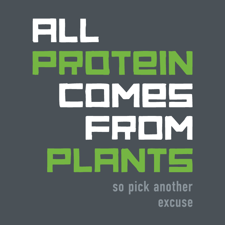 WHERE DO YOU GET PROTEIN?